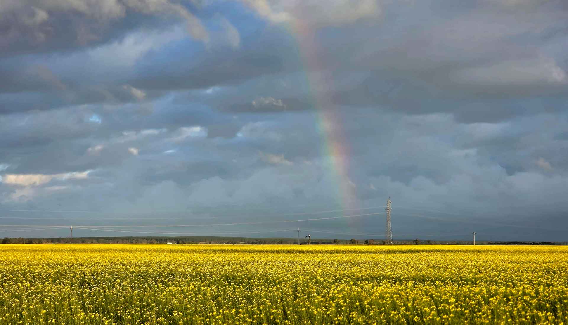 Crop Insurance by Eastern Equity South East Insurance Brokers